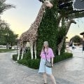 Классный сервис по мониторингу и подбору туров