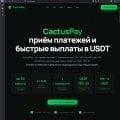 CactusPAY как платежным решением для онлайн-казино