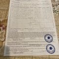 Отзыв о Компания "ФЛАГМАН СЕРВИС" ИП НЕВОЛИН: Компания "ФЛАГМАН СЕРВИС" И. П.НЕВОЛИН