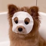 Юлия Костина