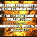 Позор для человечества.