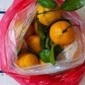 Прекрасное качество продуктов