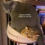 Пономарева А.