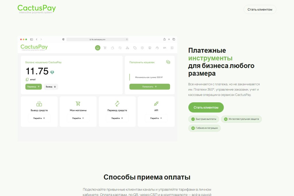 Платежная система CactusPay.PRO - CactusPAY отзыв в 2026