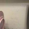 Отвратительное качество кухонь
