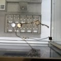 Полное отсутствие гарантии на деле
