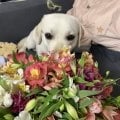 Сервис, который помогает сохранить эмоции в важные моменты