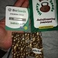 Магазин МегаСупер, качественно и ответственно