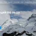 Раньше я делала наугад. Теперь у меня другой подход.