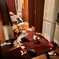 Отзыв о О недобросовестных арендаторах: Семина Анастасия Владимировна