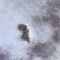 Отзыв о Сеть ювелирных магазинов Sunlight: Отличный магазин с хорошим ассортиментом и низкими ценами
