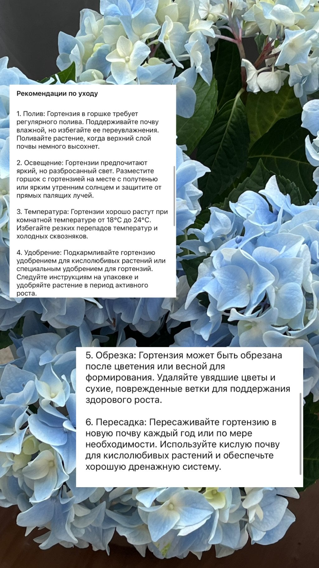 Flowwow - Прекрасный сервис, огромный ассортимент и классные магазины.
