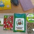 Бонусы ваще удивили