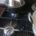 Очень не рекомендую сдавать квартиру Соколовой Марине Валерьевне