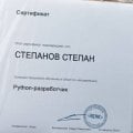 Поступил на python-разработчика.