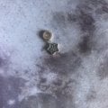 Отличный магазин с хорошим ассортиментом и низкими ценами