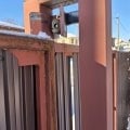 Отзыв о ООО «МАСТЕРОВИТ СПб»: Никому не советую