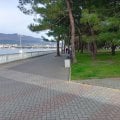 Прекрасный отдых у моря
