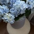 Отзыв о Флаувау (Flowwow): Прекрасный сервис, огромный ассортимент и классные магазины.