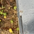 Отзыв о Мастеровит: Ужасная компания
