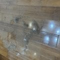 Отзыв о О недобросовестных арендаторах: Внимание замухрышки !!!!