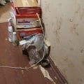 Отзыв о О недобросовестных арендаторах: Очень не рекомендую сдавать квартиру Соколовой Марине Валерьевне