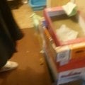 Очень не рекомендую сдавать квартиру Соколовой Марине Валерьевне