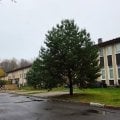 Отзыв о УК Марсель сервис: Пять звезд