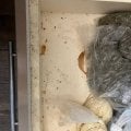 Три студентки мед вуза из Ирана снимали 3-х ком квартиру в Москве в 2023-2024г