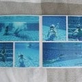 Отзыв о netPrint.ru - сервис цифровой фотопечати: Моя любовь и благодарность netPrint