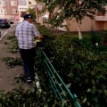 Обрезка живой изгороди УК Дом Партнер