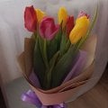 Отзыв о Flomania24: Не рекомендую
