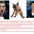 Неплохая передача, только без Машки Облигации