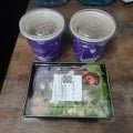 Протухший тофу в продуктах