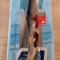 Сельдь потрошенная, попробованная скорее всего крысой
