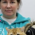 Мошенница Светлана Загуменова Загуменнова заводчица кошек Санкт-Петербург Таллинн Нарва