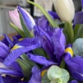 Отзыв о Studio Floristic: Букет позорный