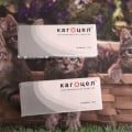 Кагоцел для профилактики